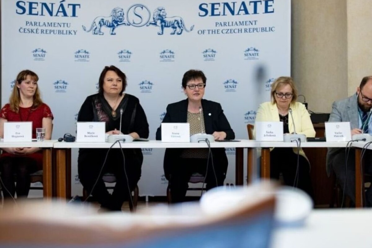 SENATE PROCEEDINGS - LEGISLATIVE ENFORCEMENT OF ART THERAPIES