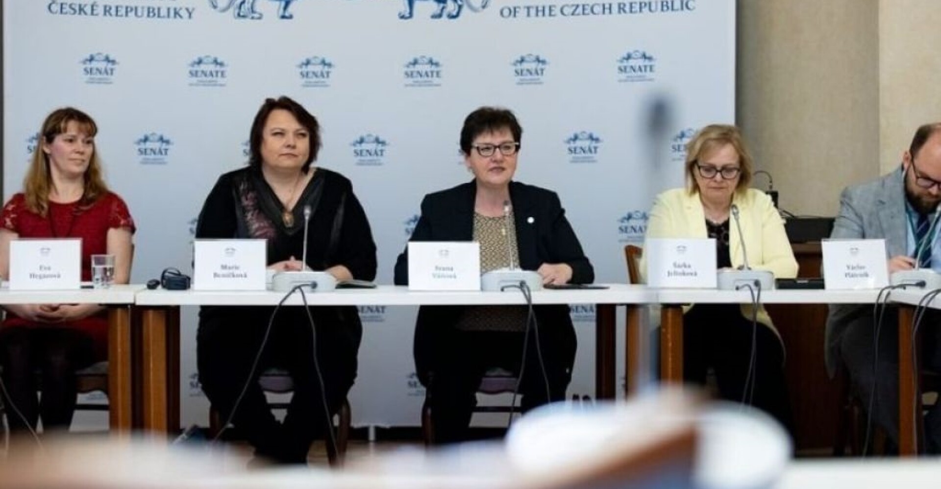 SENATE PROCEEDINGS - LEGISLATIVE ENFORCEMENT OF ART THERAPIES